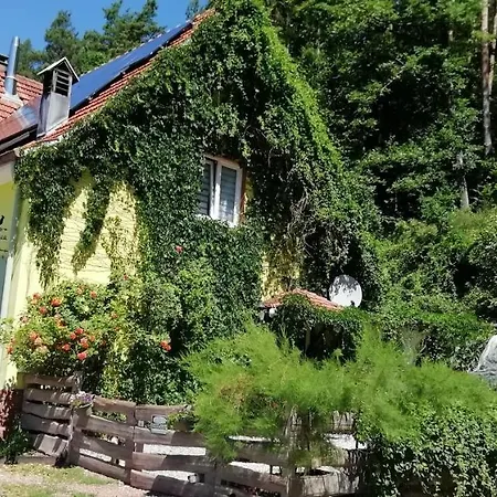 Violeta Villa Dambach Exterior photo