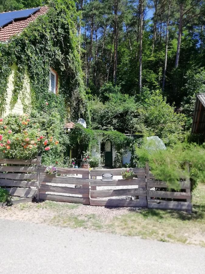 Violeta Holiday home Dambach